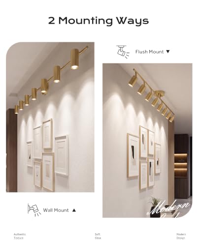 Track Lights Ceiling Mount (Kaleidoscope, Brushed Gold / 61.4", 8-light)