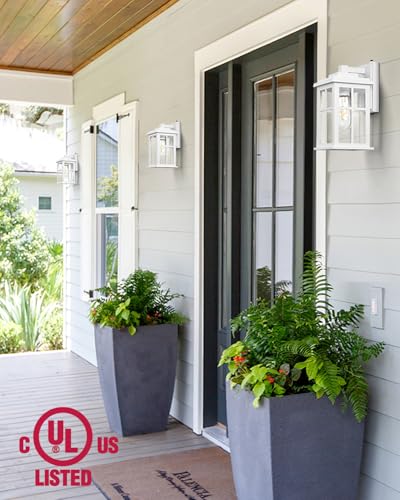 White Outdoor Light Fixture (Dusk to Dawn 2 Pack / White)
