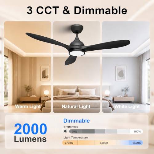 Ceiling Fan with Light