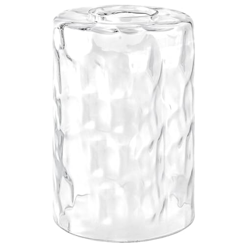 Glass Lamp Shades for Pendant Light Shades