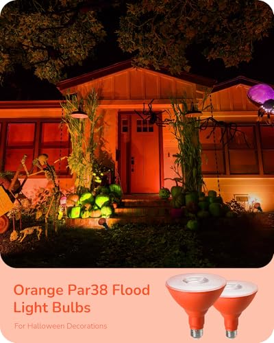 Halloween PAR38 LED Flood Orange Light Bulbs Dimmable 4 Pack (Orange)