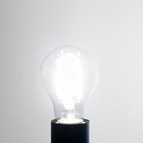 Vintage E26 Light Bulb