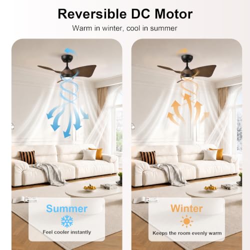 30 Inch Small Ceiling Fan with Light (Black & Walnut / 30 Inch)