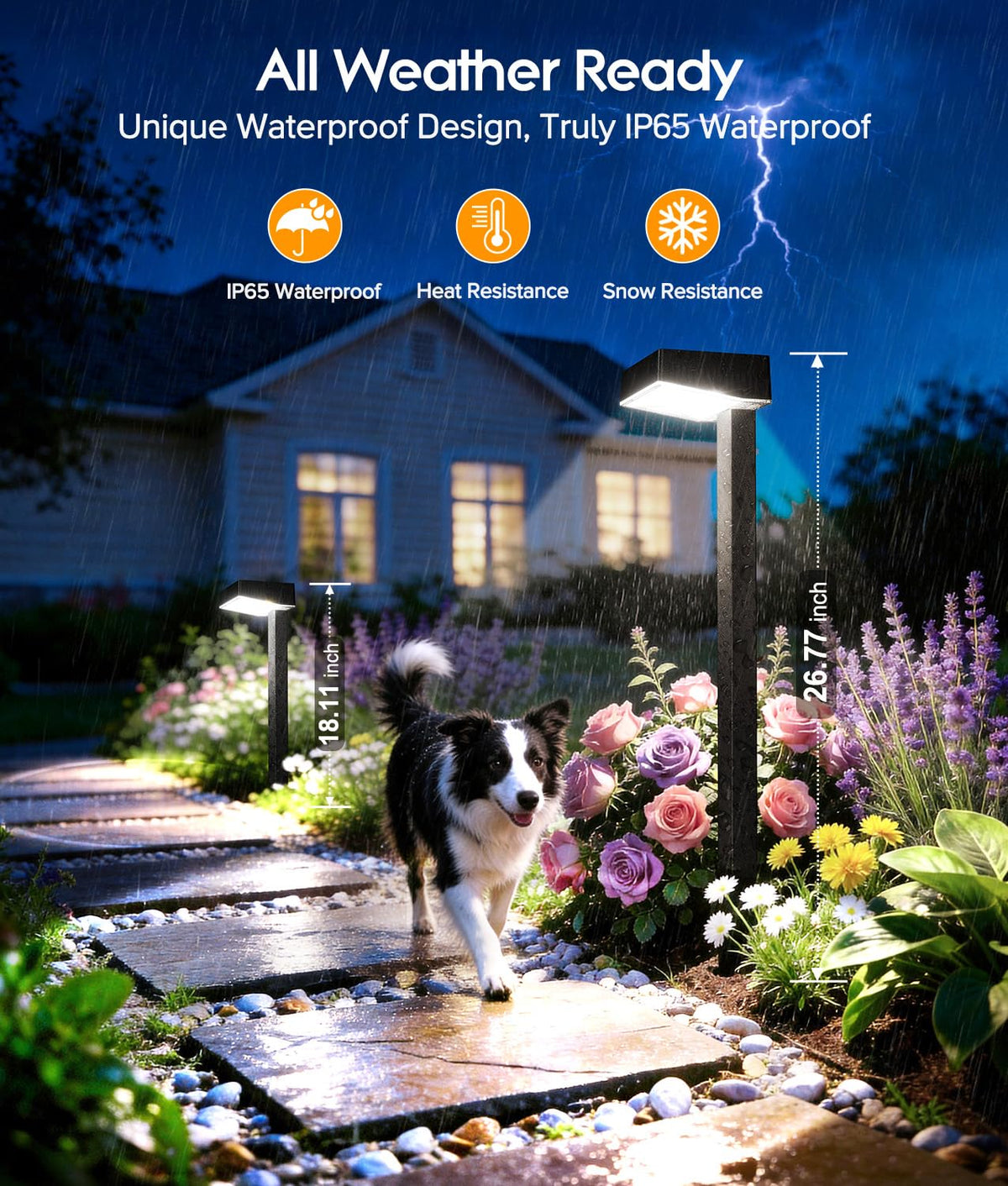 Solar Pathway Lights Outdoor (Cool White / 12 Pack)