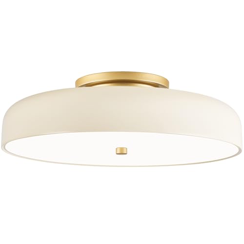 Dimmable LED Ceiling Light Fixture