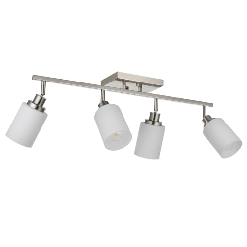4 Light Track Lighting (Brushed Nickel / 4-Lights)