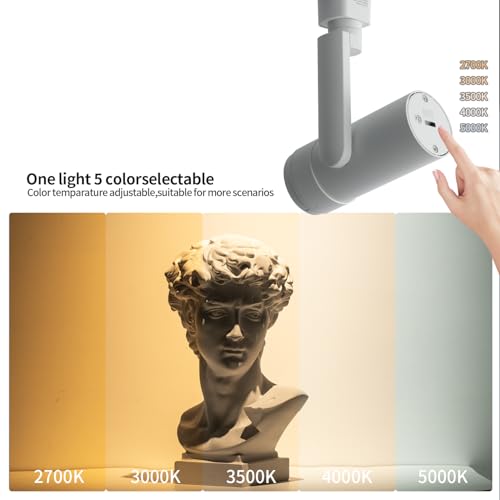 5 Color Zoomable LED Track Lighting Heads (White)