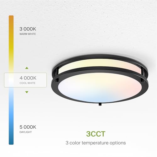 LED 14" Round Flush Mount Lighting (Black)