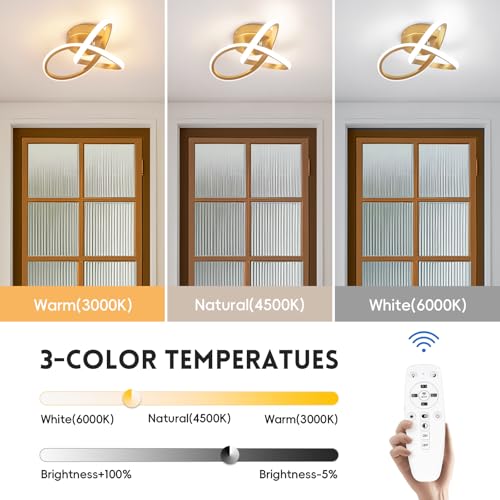 Modern LED Ceiling Light Gold Dimmable Hallway Ceiling Light (Gold, Dimmable)