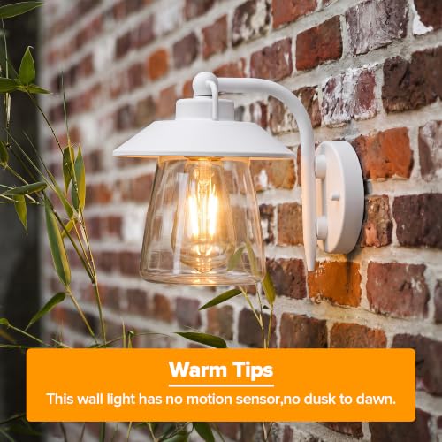 Outdoor Indoor Wall Lantern (White / 1 Pack)