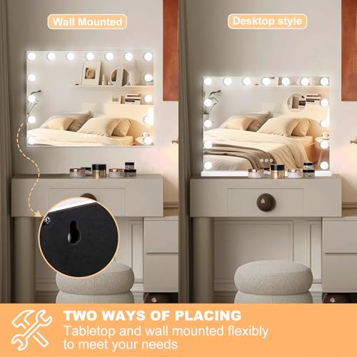 Vanity Mirror with Lights (White / 23"L x 18"W)