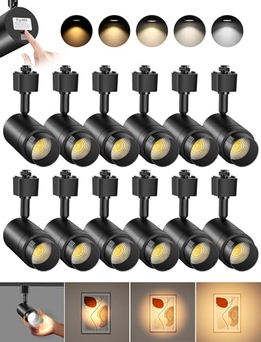 5 Color Zoomable H Track Lighting Heads Dimmable 12W 12 Pack Black (Black / 12 Pack)