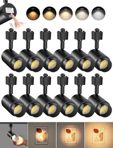 5 Color Zoomable H Track Lighting Heads Dimmable 12W 12 Pack Black (Black / 12 Pack)