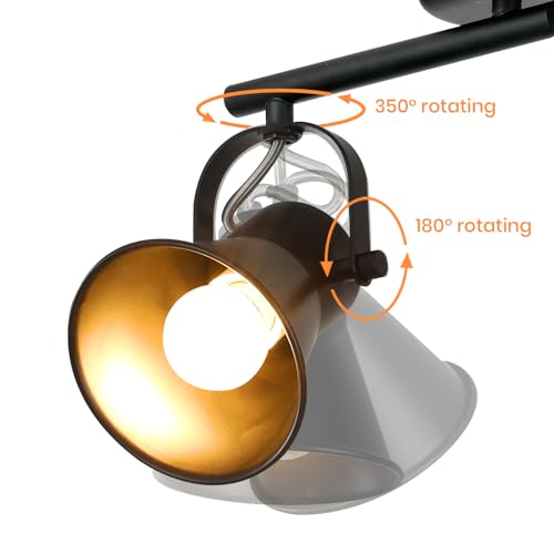 2 Light Track Lighting Kit (2-Light / Black)