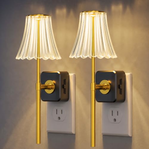 LED Night Lights Plug into Wall (Clear / 2 Pack)