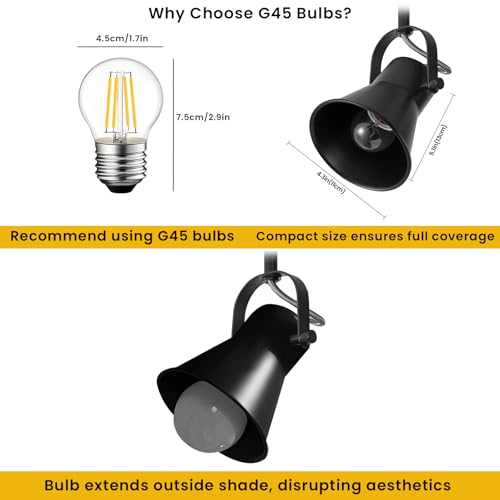 3 Light Track Lighting Kit (3-Light / Black)