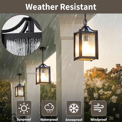 Outdoor Pendant Lights (Black / Small-Water Glass)