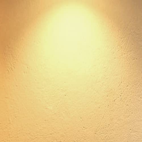 4 Pack LED Light Bulbs ST64