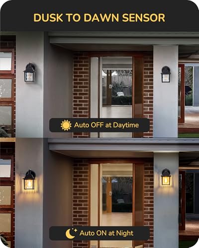 2 Pack Outdoor Wall Lights