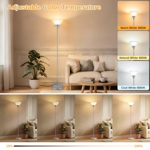 Floor Lamp for Living Room (Gray)