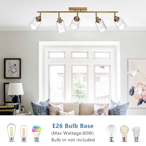 5 Light Track Lighting Kit Brass with 5 Rotatable Light Heads (Brass / 5-Light)