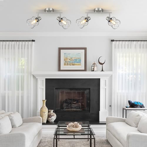 Industrial Track Lighting Kit (Brushed Nickel / 2-Light-Cage)