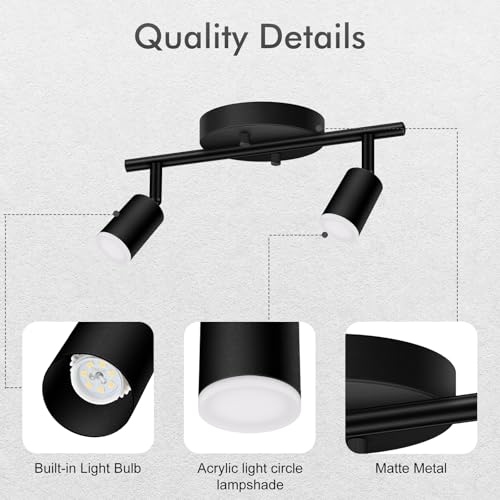 2 Light Track Lighting Fixtures Ceiling (2 light black)