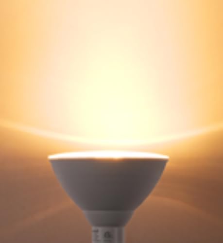 LED PAR38 Flood Light Outdoor Bulb