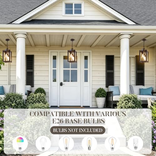 Outdoor Pendant Lights for Porch (Oil-Rubbed Bronze / Large-Clear Glass)