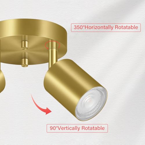 LED 2 Light Track Lighting Kit (2 Light-Gold)