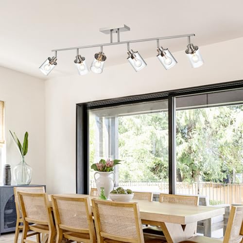 6 Light Track Lighting Kit Brushed Nickel Track Lighting Fixtures (Brushed Nickel / 6 Light)