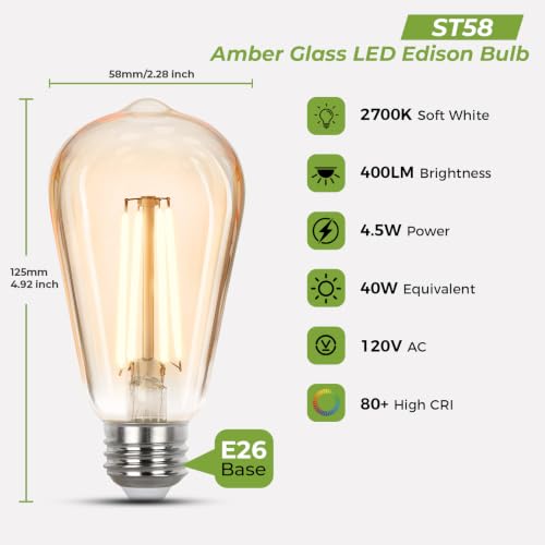 LED Edison Bulbs