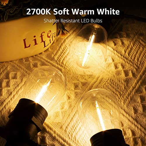S14 Outdoor String Lights (50 ft S14)