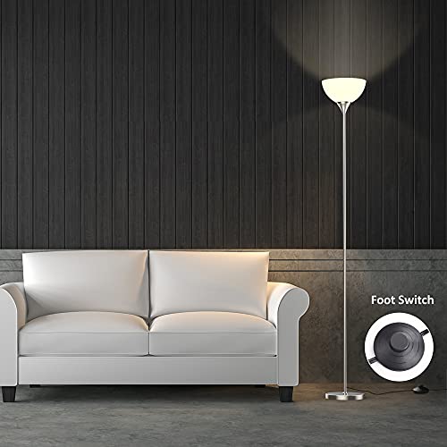 Floor Lamp Remote Control with 4 Color Temperatures (Brushed Nicke)