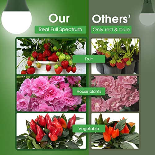 Grow Light Bulbs (White)