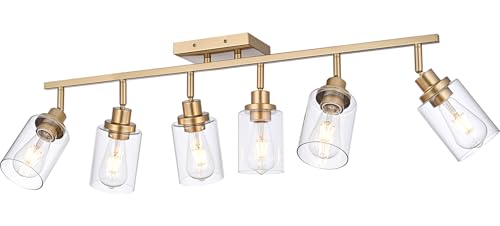 6 Light Track Lighting Kits Gold (Gold / 6-Light)