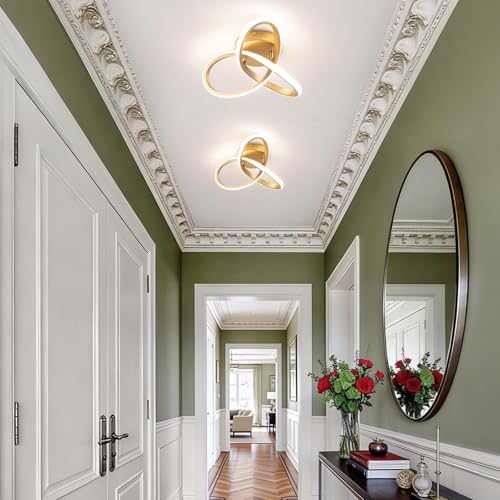 Modern LED Ceiling Light Gold Dimmable Hallway Ceiling Light (Gold, Dimmable)