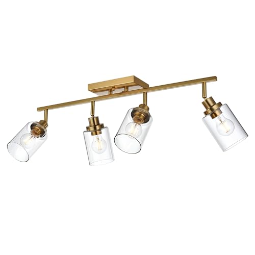 4 Light Track Lighting Kit Brass Bathroom Vanity Light Fixtures with Adjustable Track Head Ceiling Spotlight Fixture for Hallway Porch Foyer Storage (Brass / 4-Light)