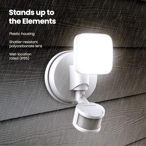 LED Outdoor Security Floodlight (White / 500 Lumens / Modern)