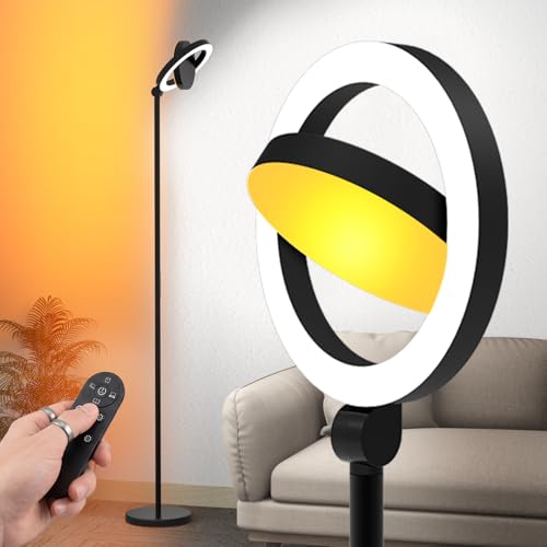 36W 2500lm Bright LED Floor Lamp for Living Room (Black)