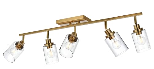 5 Light Track Lighting Kit Brass with 5 Rotatable Light Heads (Brass / 5-Light)