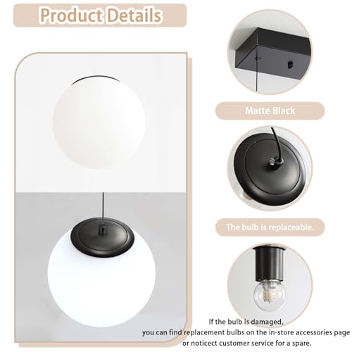 Globe Pendant Light (Black-White / Globe 1-Light)