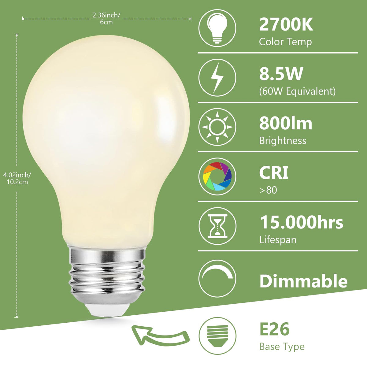 12 Pack A19 LED Light Bulbs Dimmable (12 / Filament-soft White)