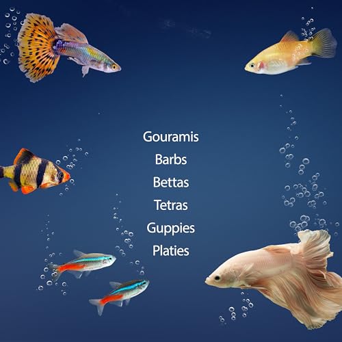 Aquarium Starter Kit with Smart Clean Filtration and LED Lighting (Black / 20 Gallon)