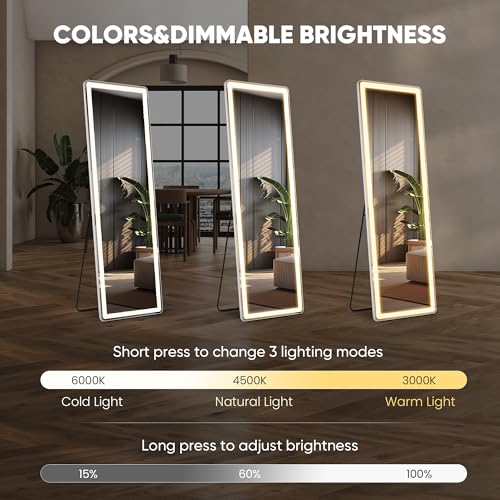 LED Rectangular Full Length Mirror (White Led-rect / 60"L x 16"W)