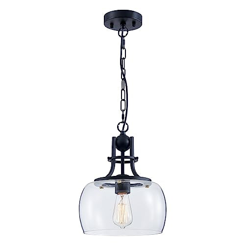 Rustic Farmhouse Round Globe Drum Shade Chandelier Pendant Light