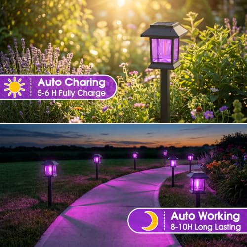 Solar Lights Outdoor (Purple Light)