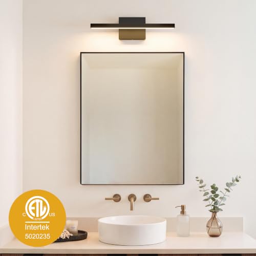 Modern Bathroom Vanity Light Dimmable 5CCT 110V LED Bathroom Lights Over Mirror Black
