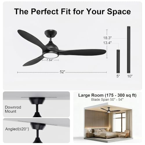 Ceiling Fan with Light
