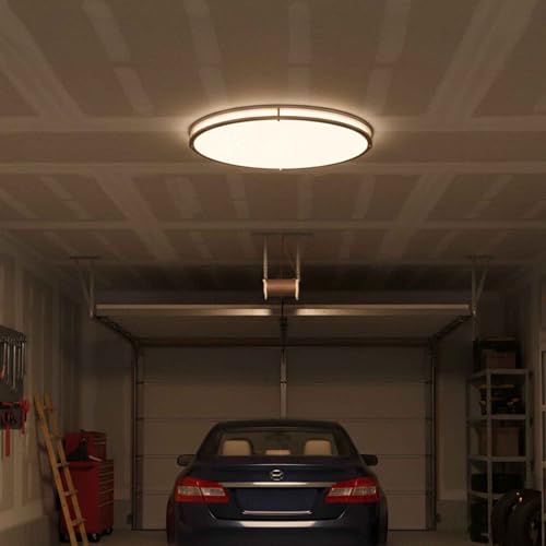 24 Inch Oval Brushed Nickel Ceiling Light (Brushed Nickel / 24 inch - 1 Pack)